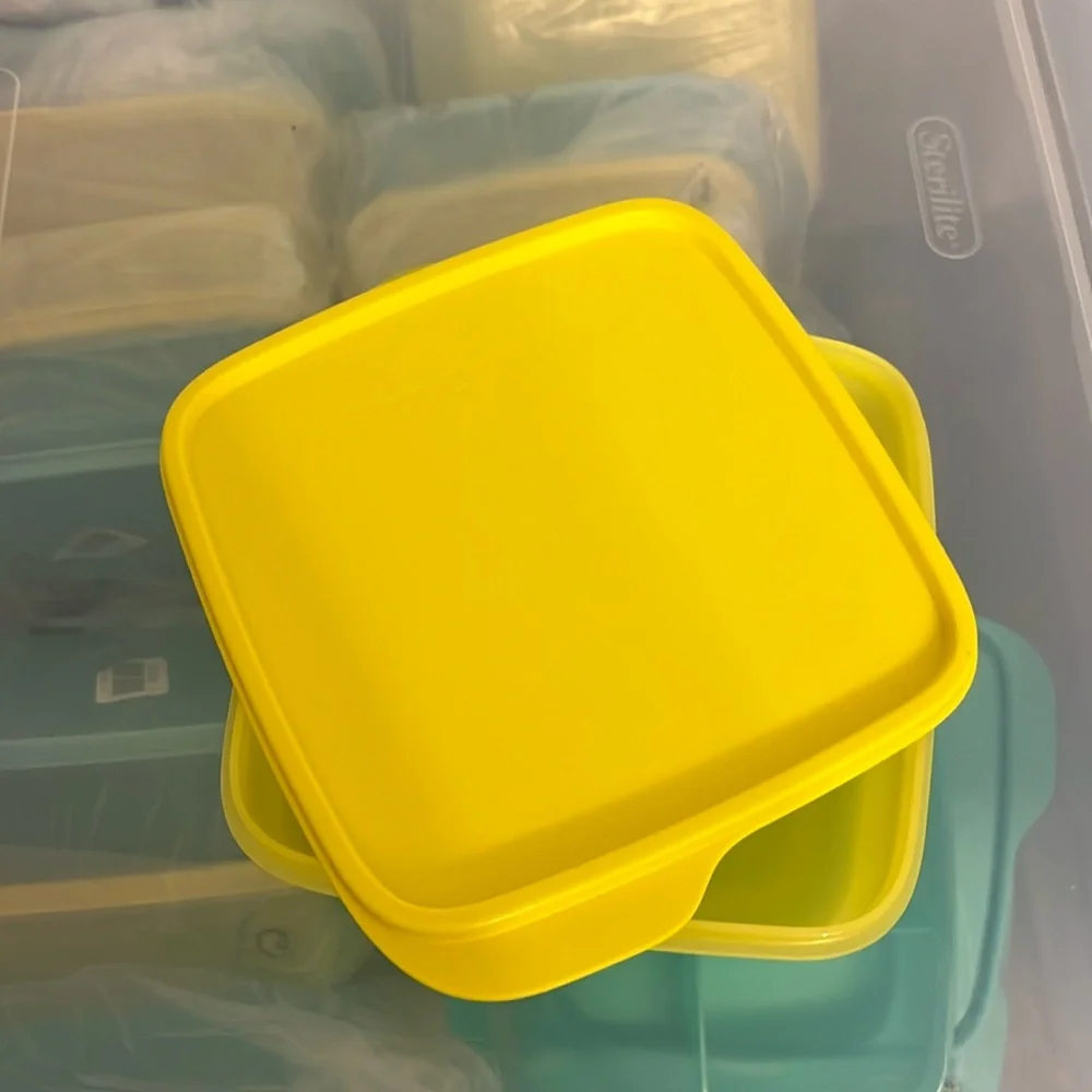 New from Tupperware Perfect lunchbox food storage container